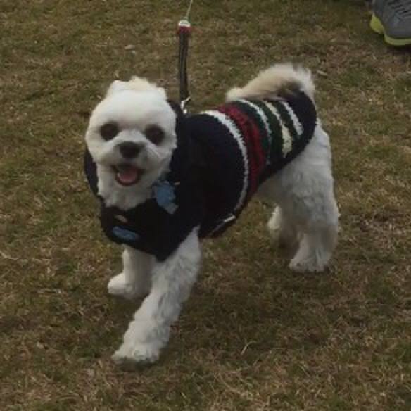 E25c88b3 3e67 4bcf b727 893158d6e6ee