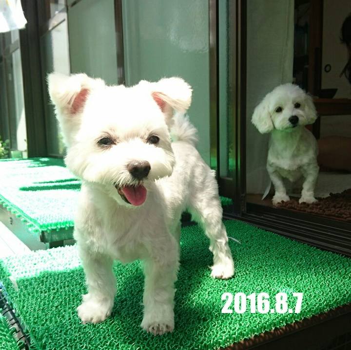 E25cab8a 48f4 4ab1 9a09 beeca516e91a