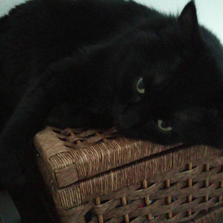 E25cd8f4 3bad 4ee7 8db3 c91d1c15d17e