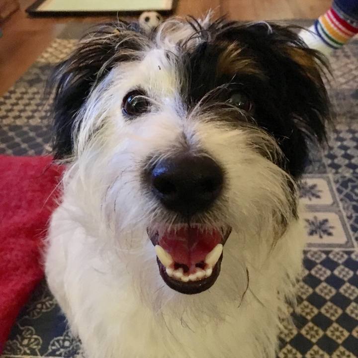 E25cda27 026f 406f a536 24b5e28f08f6