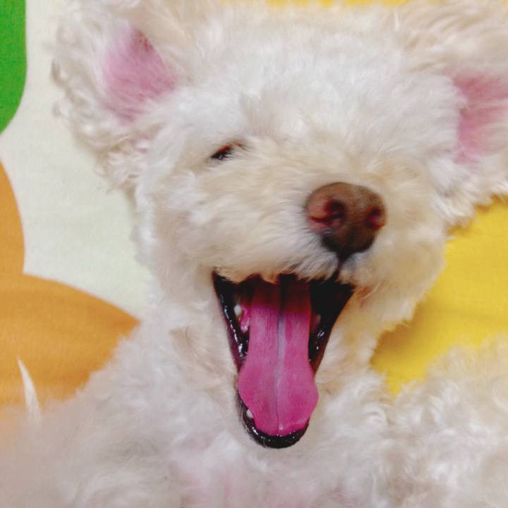 E25dbf16 e6ec 4c52 872a eb085e30b24f