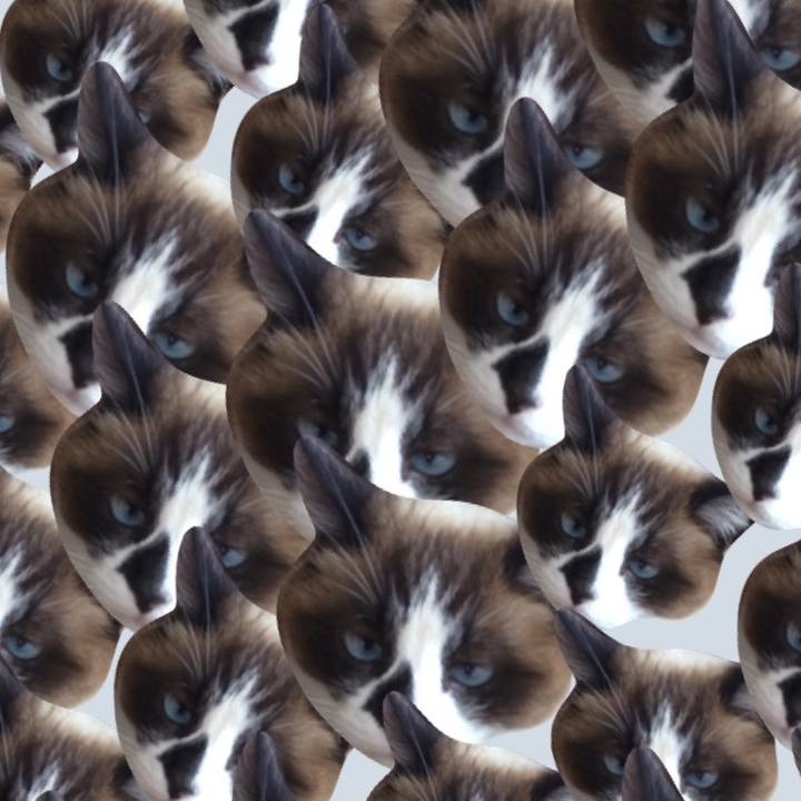E25dd726 1542 45ec 8c14 b79bf685d70d