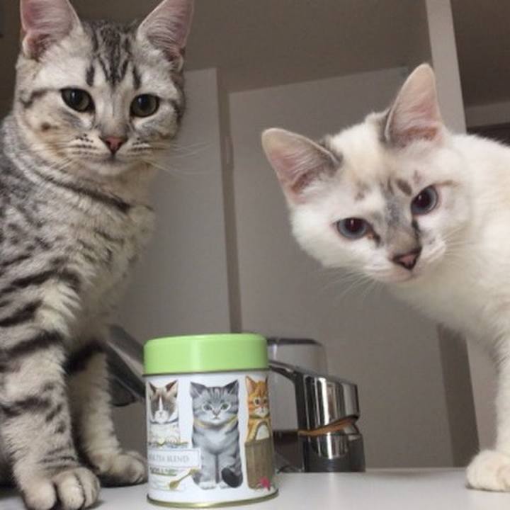 E25e0397 0581 47f5 a253 24dd86253ff2