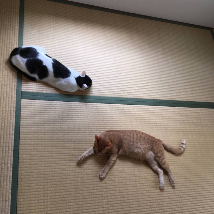 E25ea9f0 5ff9 40c4 bd32 859a95619b7b