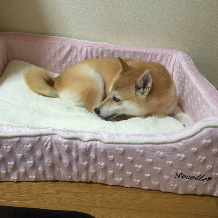 E25eb85b 5274 49f1 b17b fec1243b3836