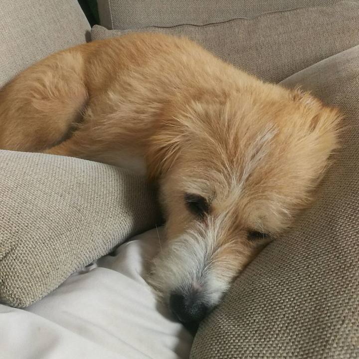 E25edaf8 8398 4b0f b796 c5b7c8533f36