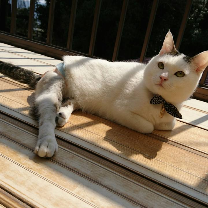 E25eddbf 5e01 4fc1 ba51 4631ce1b016a