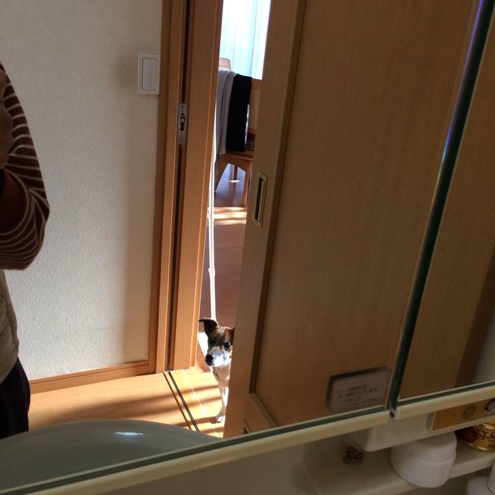 E25ee623 8813 4231 8067 782c4823150a