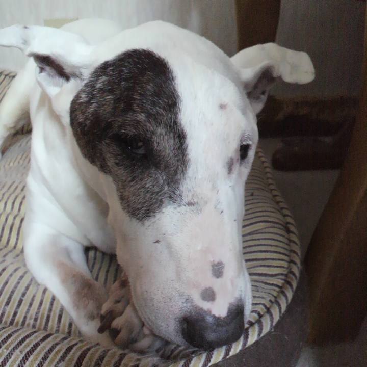 E25ff487 ccd0 4e30 b4fe 96f102857309