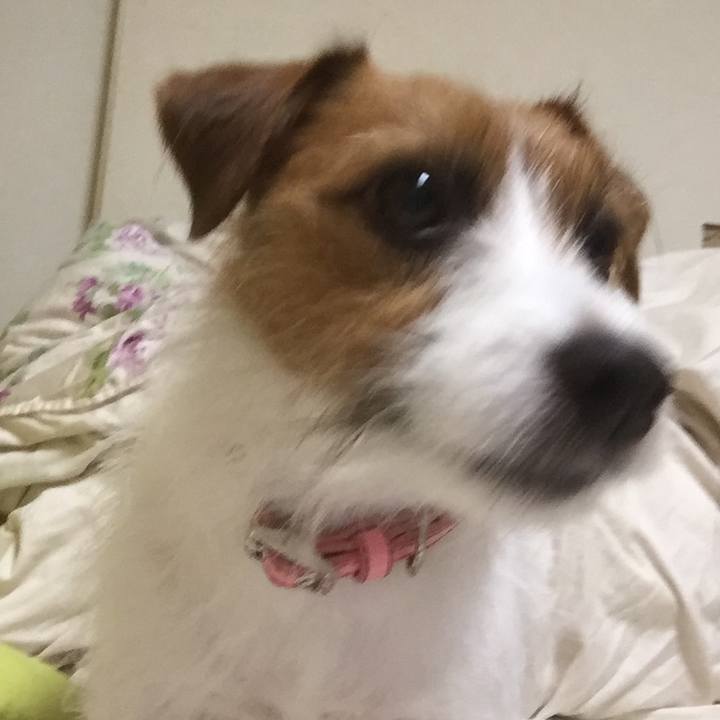 E26060af 109d 4eb8 a1a8 9f9f7c9dd723