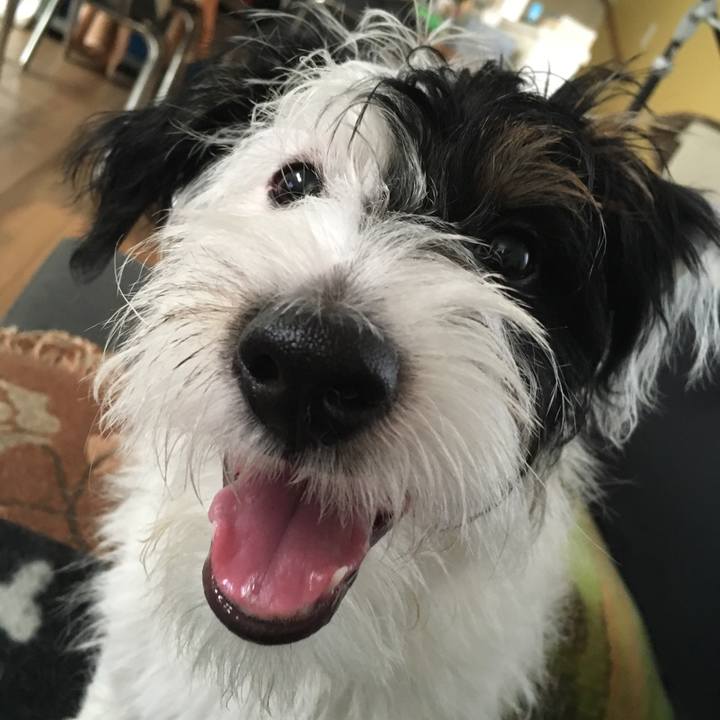 E260b207 c1e2 4b06 b811 adef82af1adb