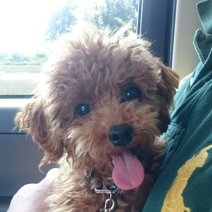 E2615c91 a71c 497f a353 f4bdd3bd8714