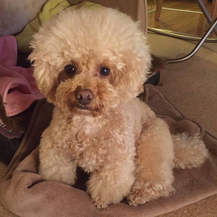 E2617984 f4cf 4c05 ae26 a95bb128fd23