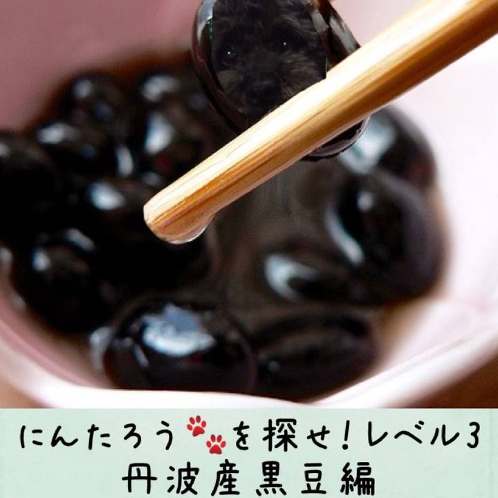 E261bc01 b7d7 4c68 9d6c 9acc57933ffc