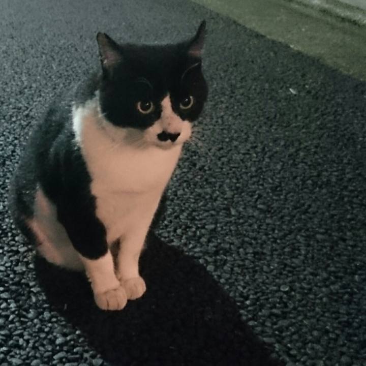 E2627112 f386 496f b6b1 87992ad2683a