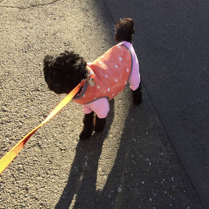 E262e0e1 3029 496a 92f6 b34b4f802f4f