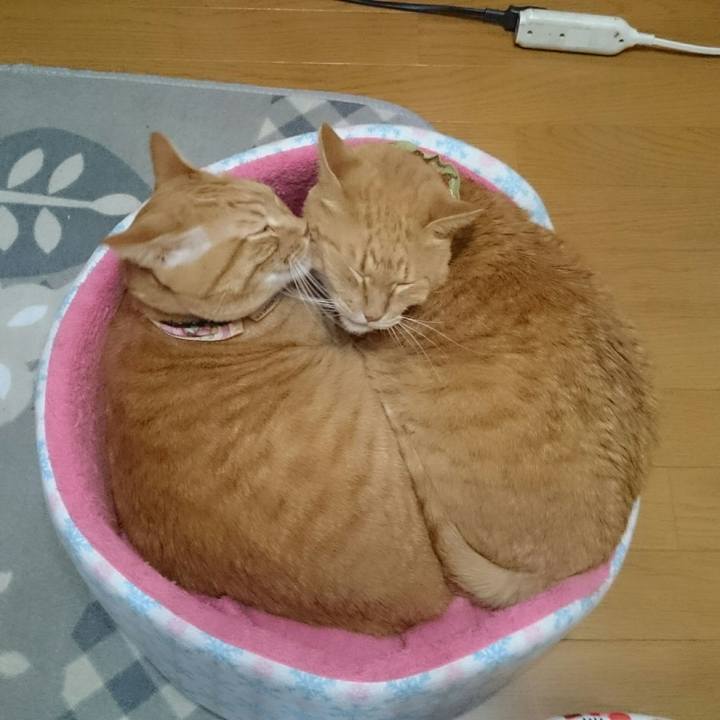 E2630c40 7088 47b7 8889 55ce07fa6f31