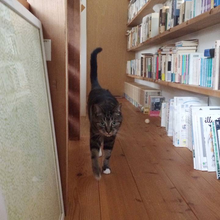 E2631573 65f1 4530 9a09 06c46f831abb