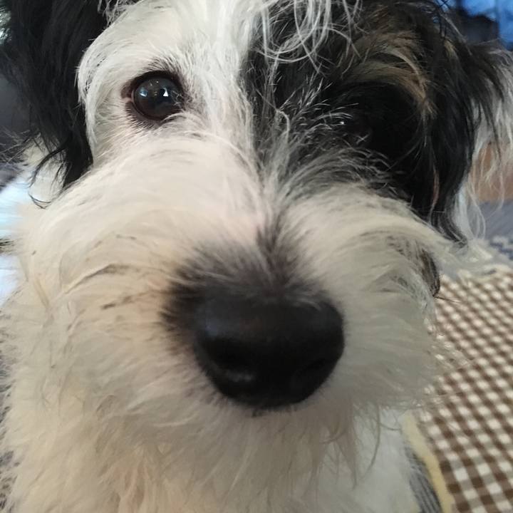 E26413bf d194 4e52 9b76 041e568f384d