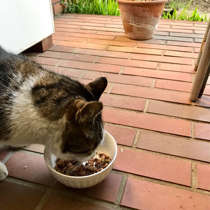 E2641920 f583 499e 96e9 baa4e1d44652