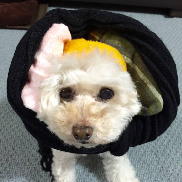 E26486bf 9433 4389 a287 f721255648f8