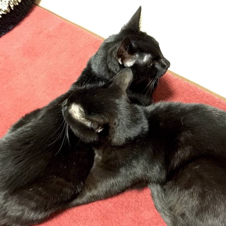 E265d2c5 0304 4b8c 9a24 18f1ea8fbe5d