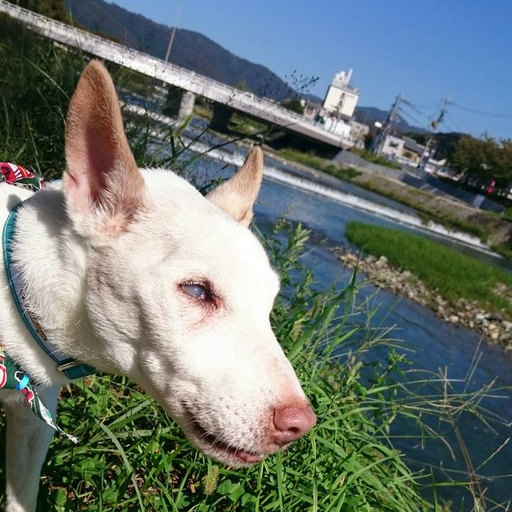 E265e5e7 2a15 4ae4 a24c 5bccf9bc219f