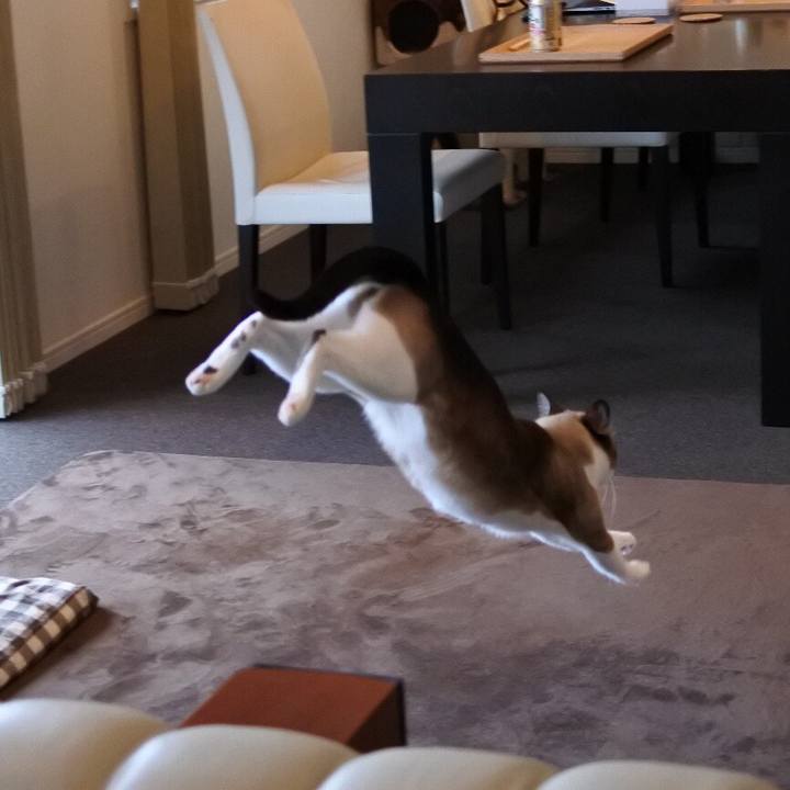 E266813c 59a3 4738 a738 a7248f8fa7e9