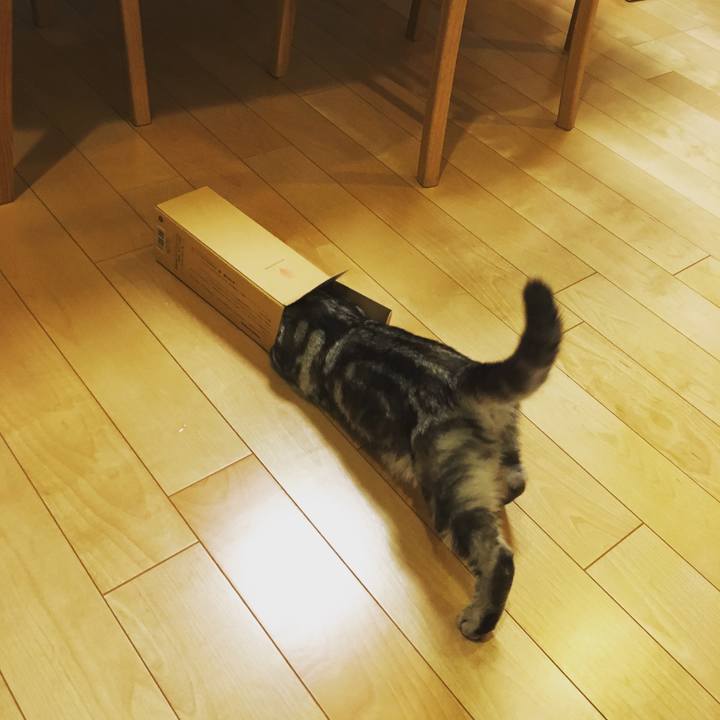 E26684c4 609b 41be 962c 6efc637aa6a6