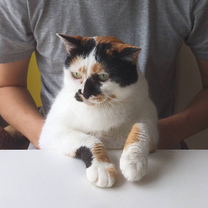 E266b16d 7dc7 44f4 84d3 33c7be7a36ae