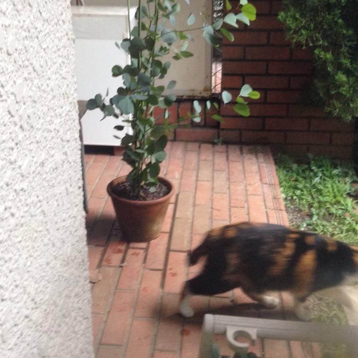 E266daa0 0a3c 4e20 93f8 c1d57e72246d