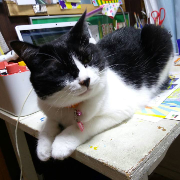 E26732f5 44db 43ec 873a 67164667a5c9