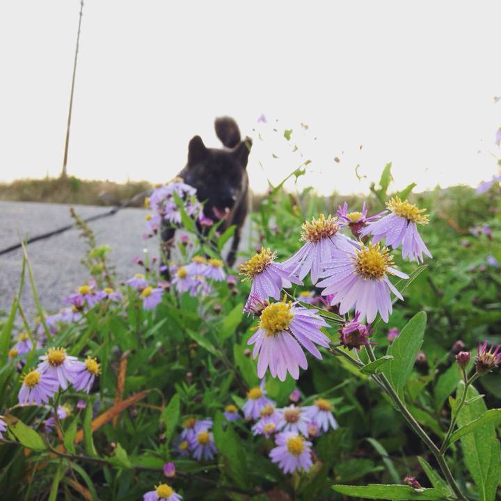 E2677708 000e 4cdc b0b2 d8142f3a6c31