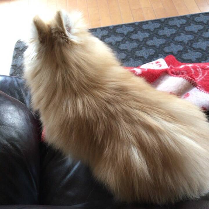 E26793a8 aba3 4613 9803 aaa16e95b495