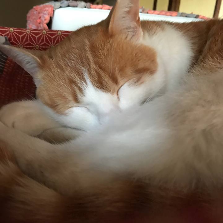 E267f55a 5d8c 4fa2 b30c 4ff27d4e61ff