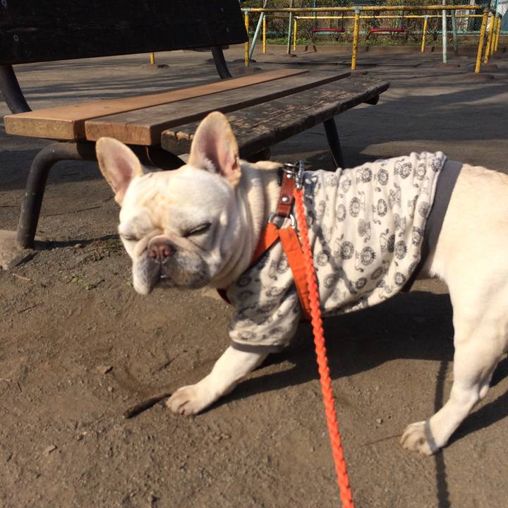 E2680995 73d2 4d25 b390 43d353fd0ac2