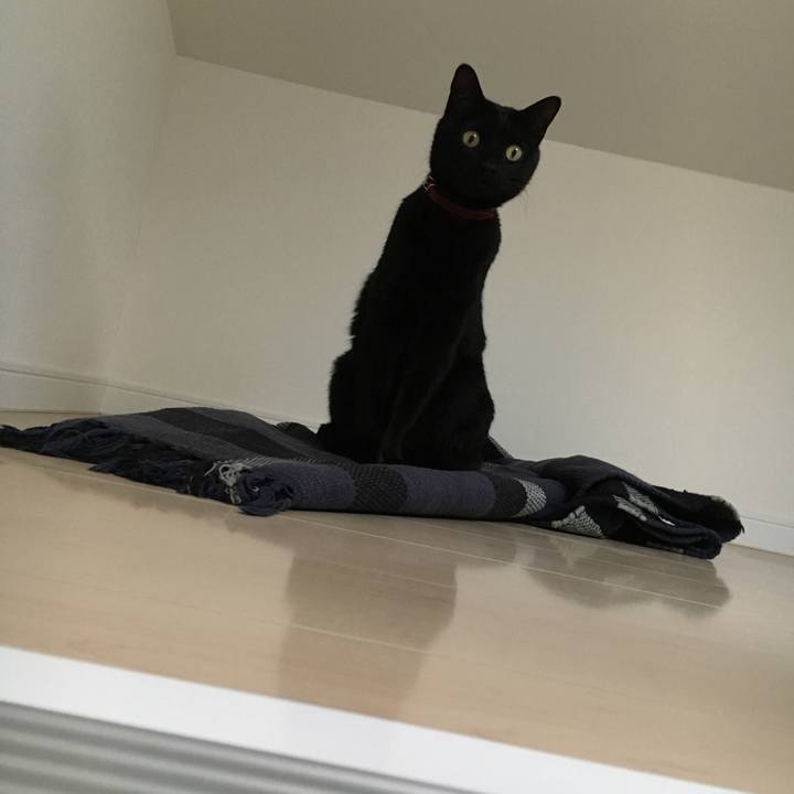 E2685bfa 7a28 4de3 bc82 1c108a1e30b6