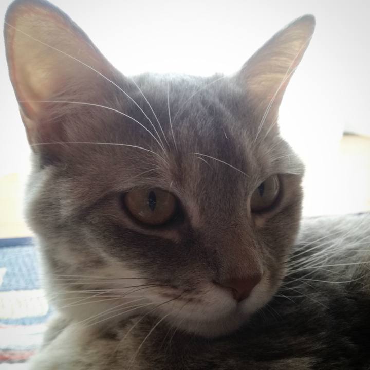 E268d0c0 6cc6 450e bd3c 26e4a8d749c7