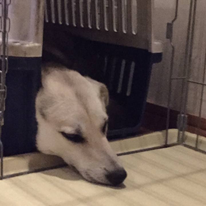 E268f2aa 37db 4ddc 9299 6f539aefbd13