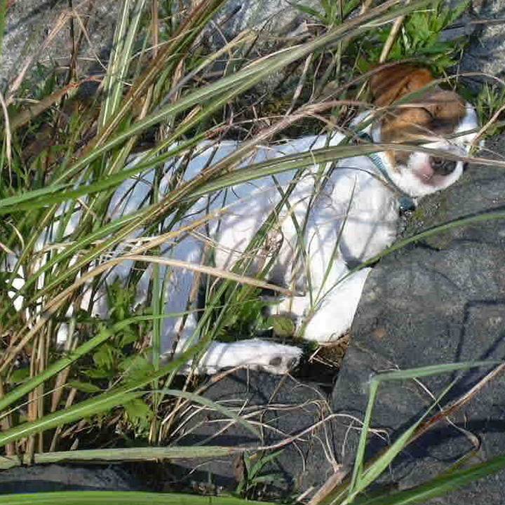 E26921dc 71c4 4092 a355 0ac0cb00c8cf