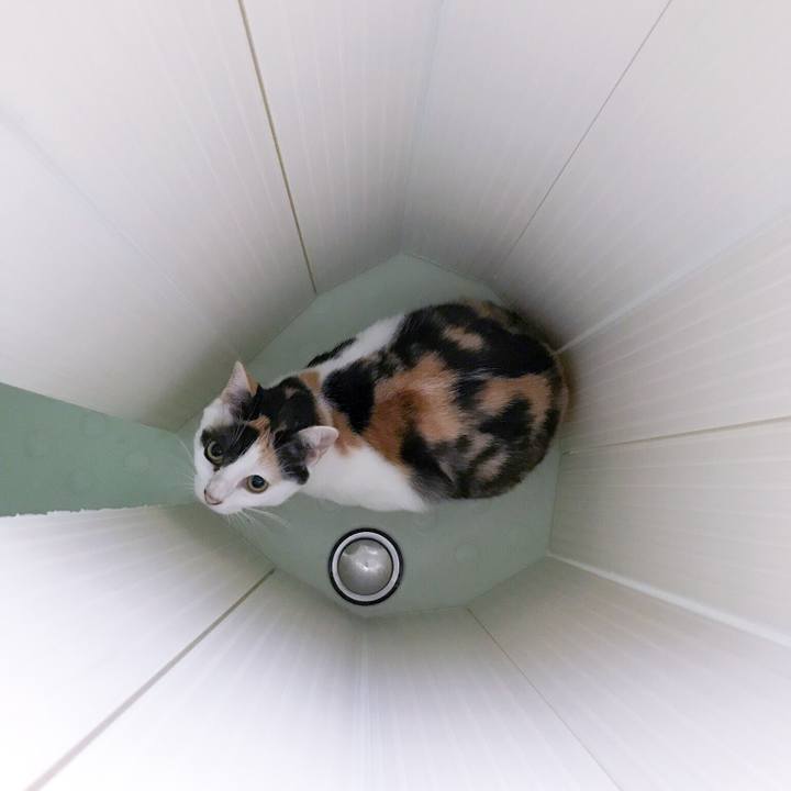 E2697018 6c7c 494b b01a 8548542b43c6