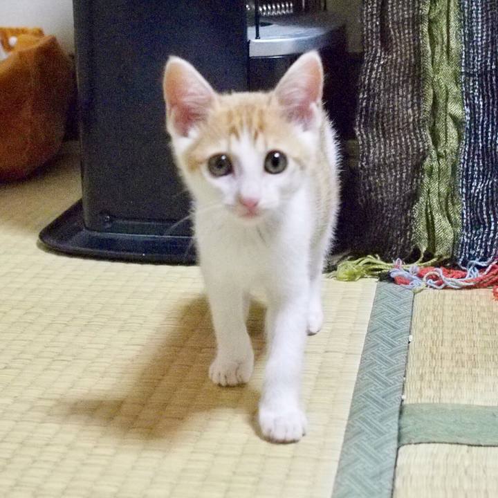 E2698811 3bda 4cde a568 a84af039c632