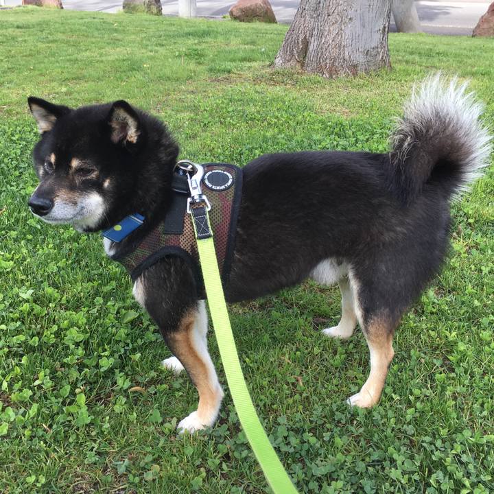 E26aa6ba e752 414b a0f2 de481358ed23