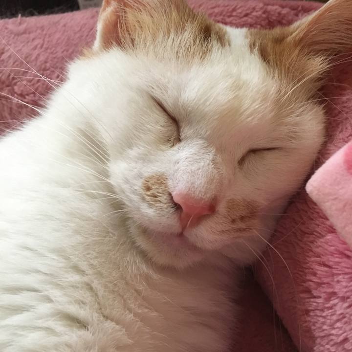 E26b2111 5929 41ea bb55 ea5ece7f91ad