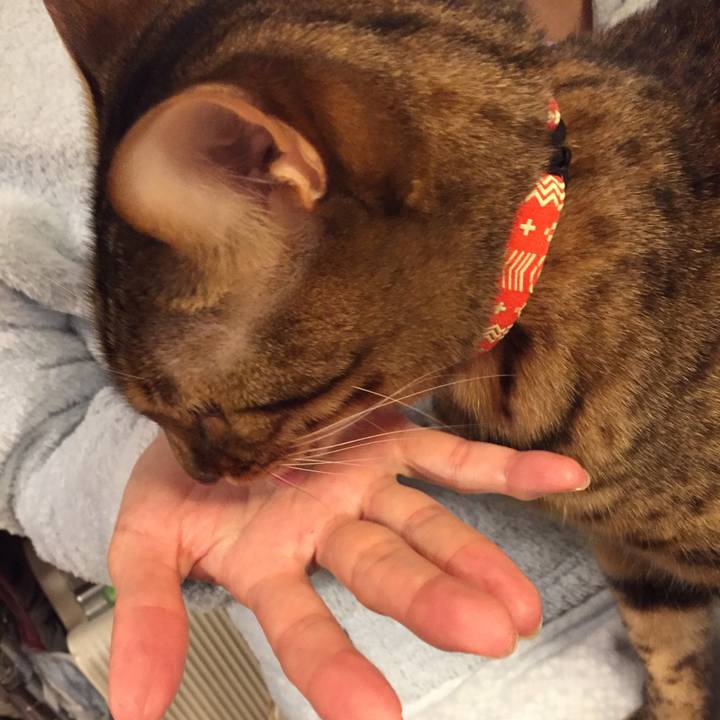 E26b82d0 3340 460d 81eb 0776f3cf6e00