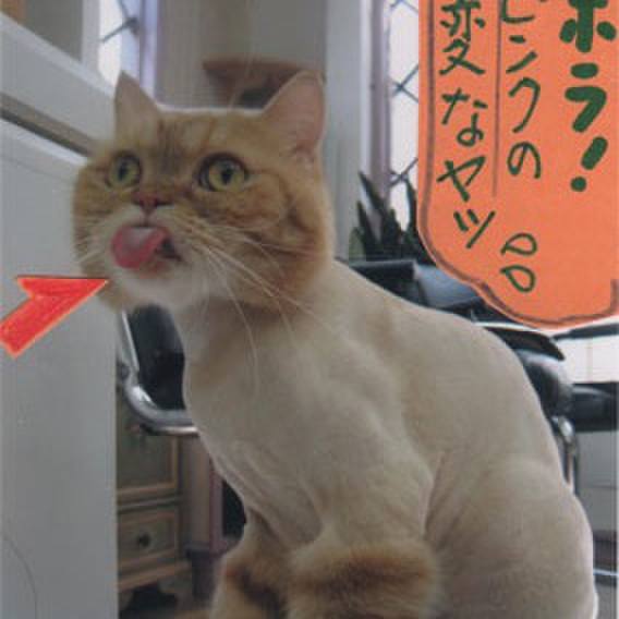 E26c0216 a59a 4d74 a7a2 858e6a98b1ac