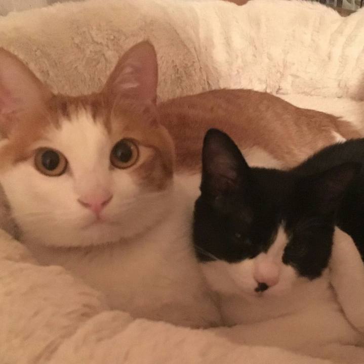 E26d92d7 5751 4dfd 9421 18b1f94d3659