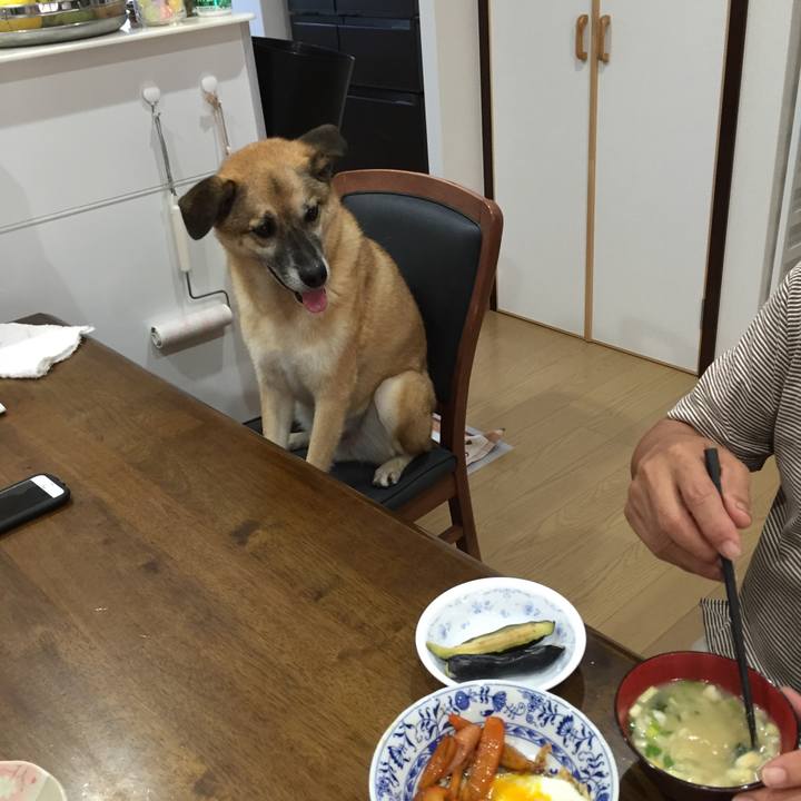 E26dc6ab 891f 47e4 a3ee 97616585e819