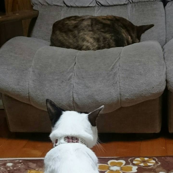 E26e1b42 7347 4af0 b1b8 13846ce5a8b4