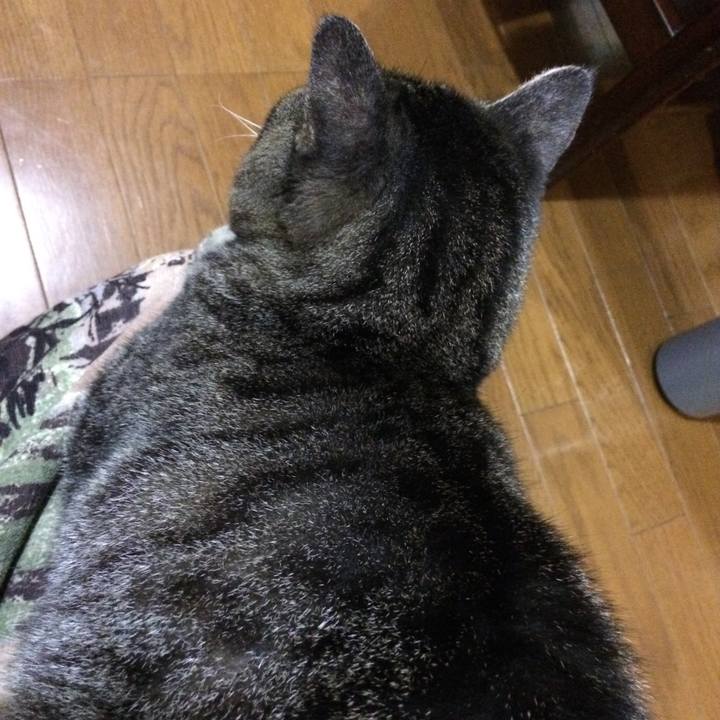 E26e7659 05b7 4683 bfae 5ffeef355698